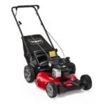 Toro Recycler 21 in. 140cc Gas Push Lawn Mower (21311)